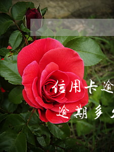 信用卡逾期多久會(huì)坐牢6(信用卡逾期多久會(huì)坐牢、是法院來(lái)抓人還是派出所來(lái)抓人)